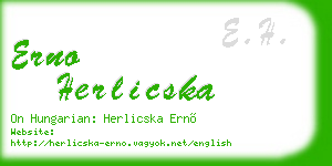 erno herlicska business card